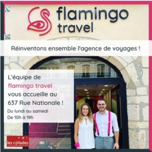 flamingo travel villefranche